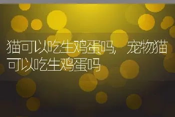 咳嗽干呕怎么回事，小狗咳嗽干呕怎么回事