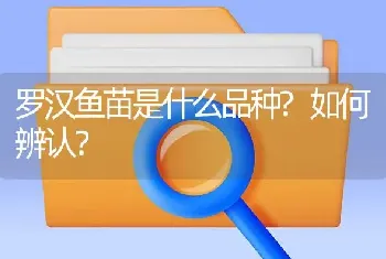 罗汉鱼苗是什么品种？如何辨认？