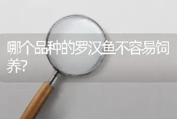 哪个品种的罗汉鱼不容易饲养？