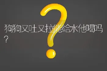 狗狗又吐又拉能给水他喝吗？