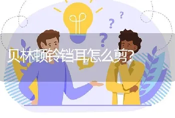 贝林顿铃铛耳怎么剪？