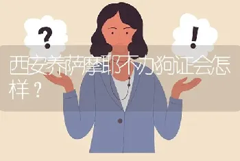 西安养萨摩耶不办狗证会怎样？