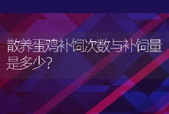 散养蛋鸡补饲次数与补饲量是多少？