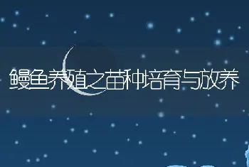 鳗鱼养殖之苗种培育与放养