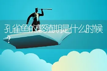 孔雀鱼的繁殖期是什么时候？