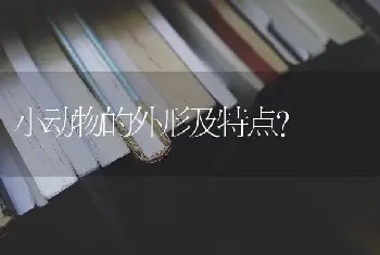 小动物的外形及特点？