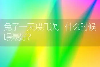 拉莫斯的狗叫什么名字？