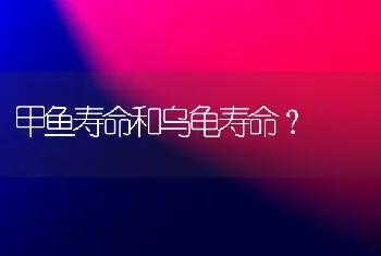 中型犬价格有200元左右的吗？