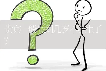 贵宾一般生到几岁不能生了？