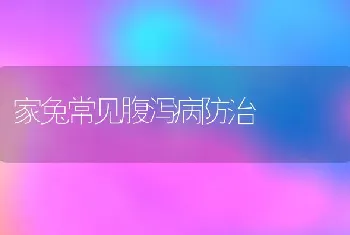 家兔常见腹泻病防治