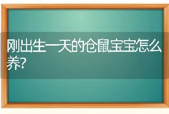 刚出生一天的仓鼠宝宝怎么养？