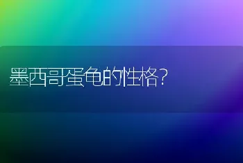 墨西哥蛋龟的性格？