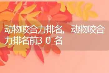 动物咬合力排名，动物咬合力排名前30名