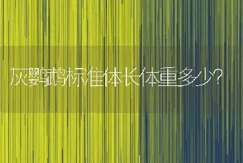 灰鹦鹉标准体长体重多少？