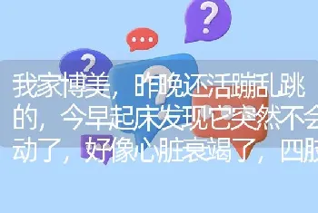 我家博美，昨晚还活蹦乱跳的，今早起床发现它突然不会动了，好像心脏衰竭了，四肢无力，但眼睛还会动，为什么？