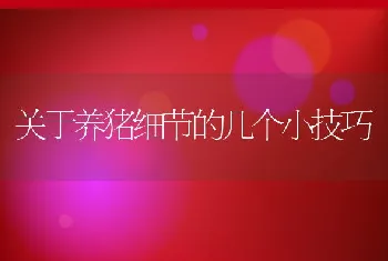 无公害肉鸽养殖技术及培育方法