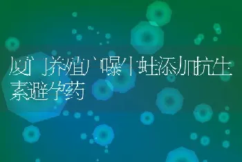 厦门养殖户曝牛蛙添加抗生素避孕药