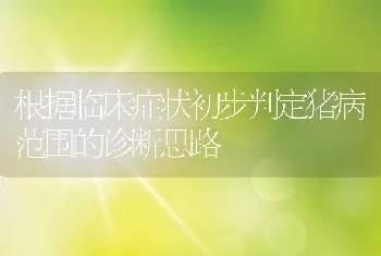 根据临床症状初步判定猪病范围的诊断思路