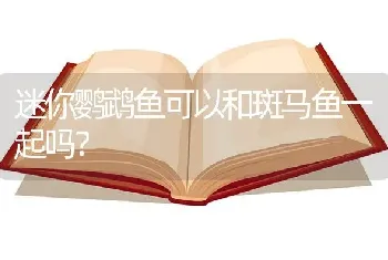 迷你鹦鹉鱼可以和斑马鱼一起吗？