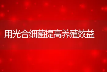 大菱鲆亲鱼海水小瓜虫病的防治方法