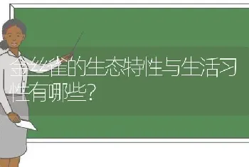 金丝雀的生态特性与生活习性有哪些？