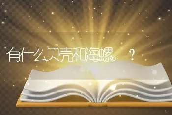 有什么贝壳和海螺。？