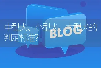 中型犬、小型犬、大型犬的判定标准？