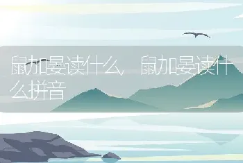 鼠加晏读什么，鼠加晏读什么拼音