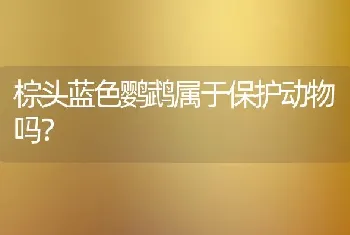 棕头蓝色鹦鹉属于保护动物吗？