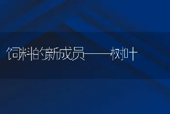 台风季节虾病高发