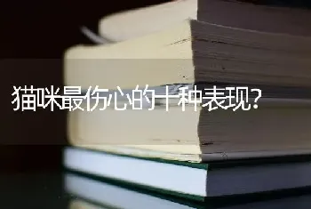 家里的小金毛七个月了，还是很调皮，什么时候才会比较乖呢？