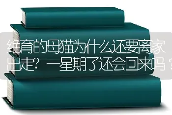 绝育的母猫为什么还要离家出走?一星期了还会回来吗？