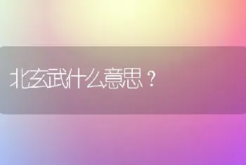 北玄武什么意思？