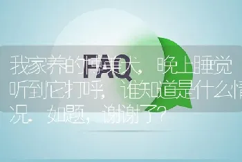 我家养的博美犬,晚上睡觉听到它打呼,谁知道是什么情况.如题，谢谢了？