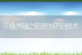 甲鱼养殖之肺进水防治技术