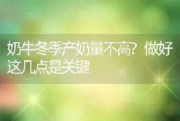 奶牛冬季产奶量不高?做好这几点是关键