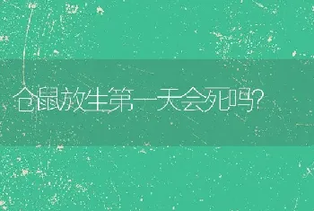 仓鼠放生第一天会死吗？