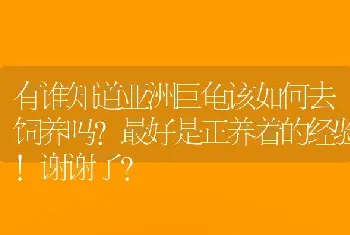 有谁知道亚洲巨龟该如何去饲养吗?最好是正养着的经验!谢谢了？