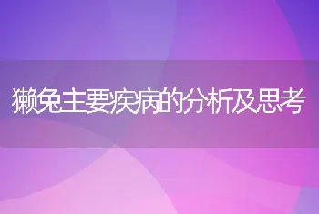 獭兔主要疾病的分析及思考