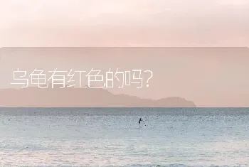 乌龟有红色的吗？