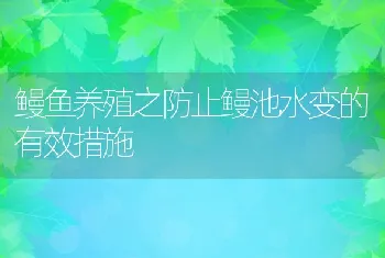 鳗鱼养殖之防止鳗池水变的有效措施