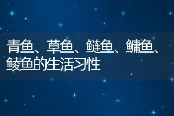 青鱼、草鱼、鲢鱼、鳙鱼、鲮鱼的生活习性