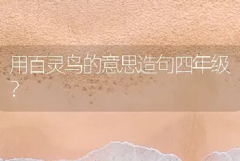 用百灵鸟的意思造句四年级？