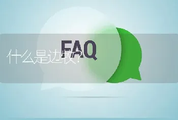 什么是边牧？