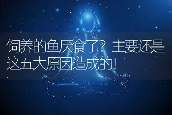 饲养的鱼厌食了？主要还是这五大原因造成的！