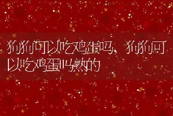 狗狗可以吃鸡蛋吗，狗狗可以吃鸡蛋吗熟的