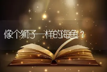 像个狮子一样的海鱼？