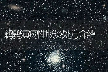 鹌鹑演疡性肠炎处方介绍