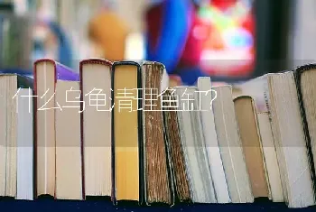 什么乌龟清理鱼缸？