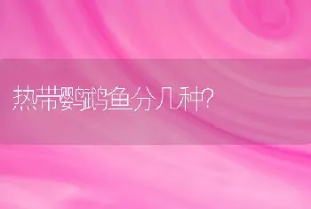 热带鹦鹉鱼分几种？